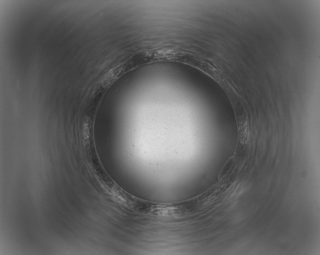 X0000054360472200508191824