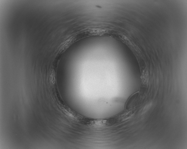 X0000054360474200508191824