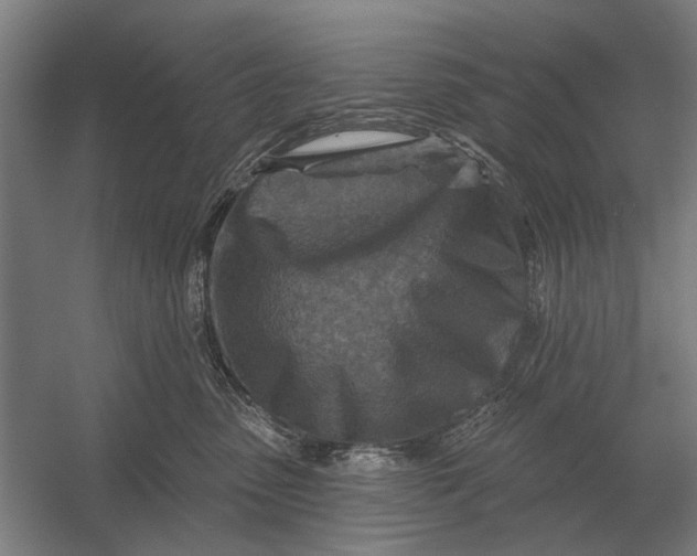 X0000054360475200508191824