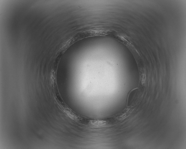 X0000054360476200508191824