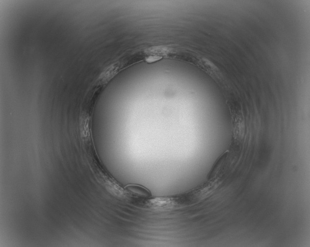 X0000054360477200508191824