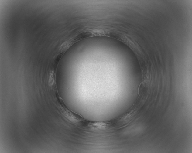 X0000054360478200508191824