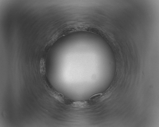 X0000054360480200508191824