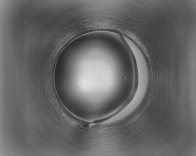X0000054360481200508191823