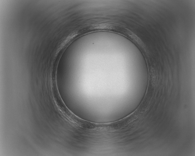 X0000054360482200508191823