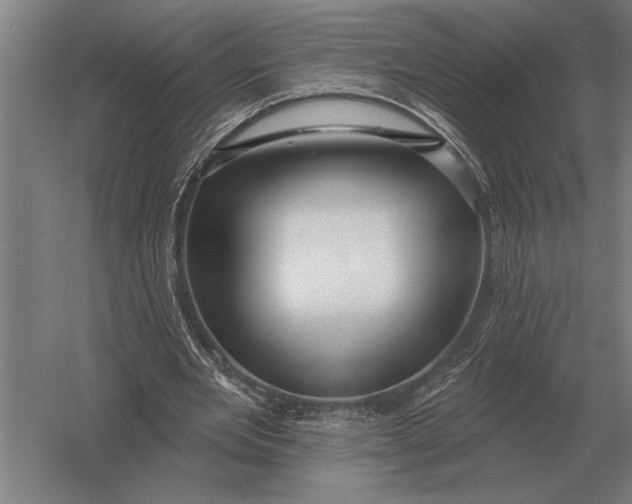 X0000054360485200508191823