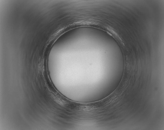 X0000054360486200508191823