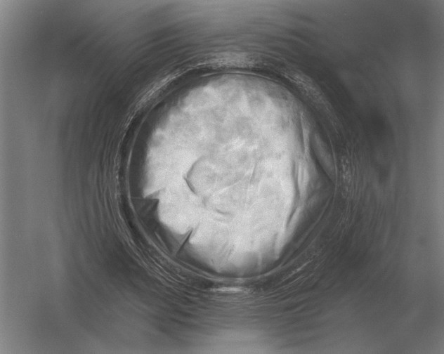 X0000054360487200508191823