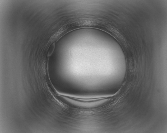 X0000054360489200508191823
