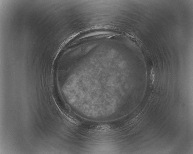 X0000054360492200508191823