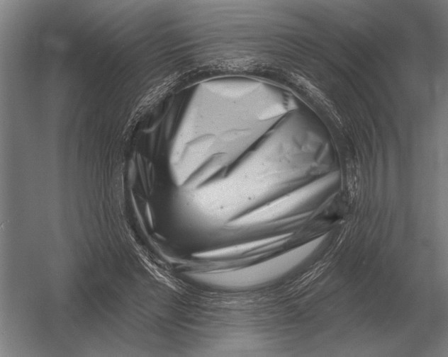 X0000054360493200508191823