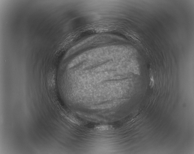 X0000054360499200508191823