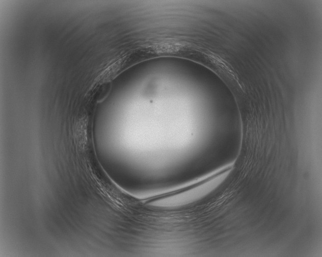 X0000054360501200508191823