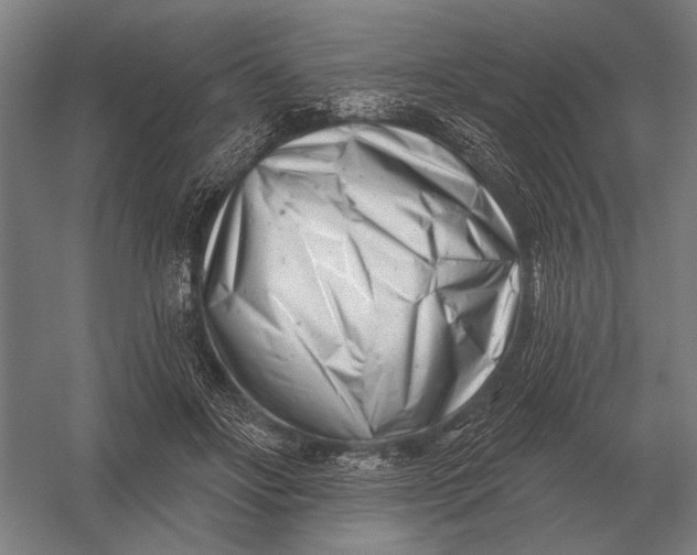 X0000054360502200508191823