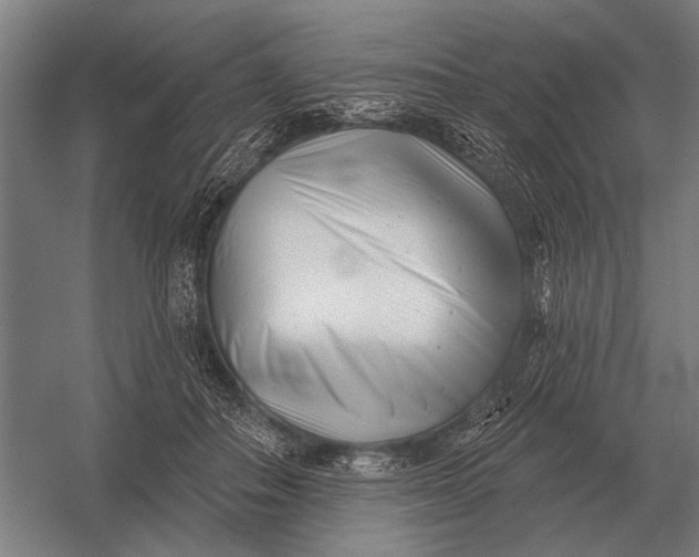 X0000054360506200508191823