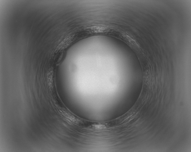 X0000054360509200508191823