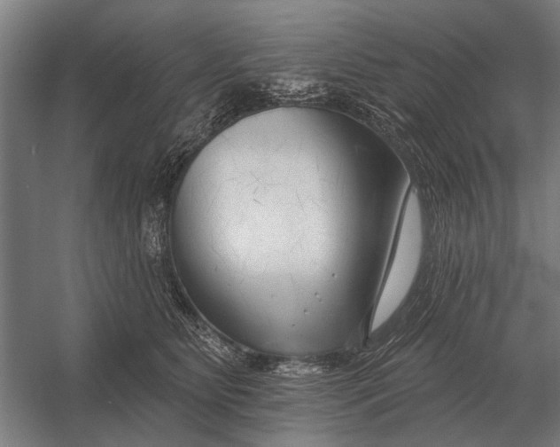 X0000054360515200508191823