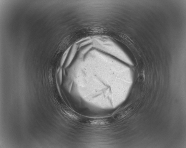X0000054360516200508191823