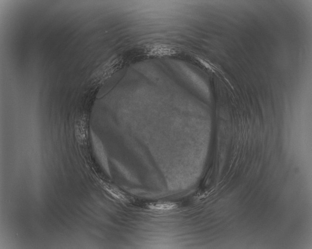 X0000054360517200508191823
