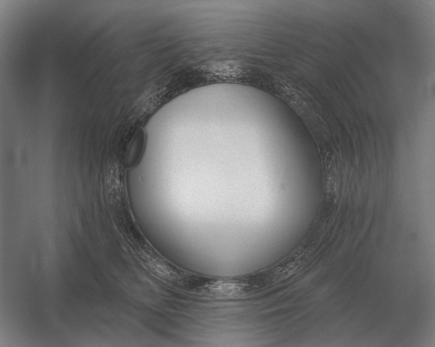 X0000054360518200508191823