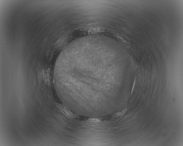 X0000054360519200508191823