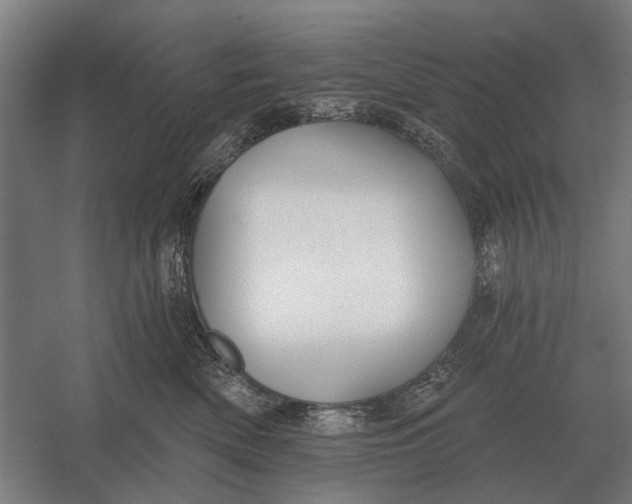 X0000054360522200508191823