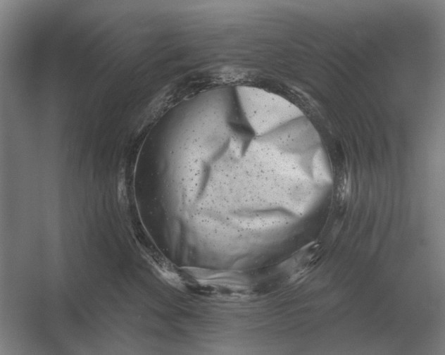 X0000054360524200508191823