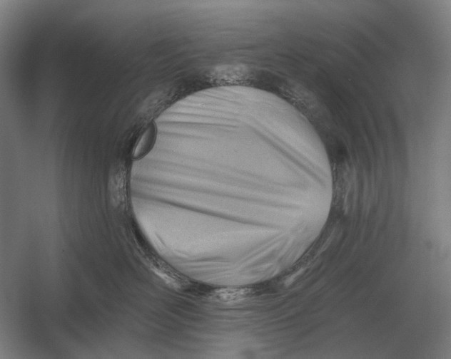 X0000054360526200508191823