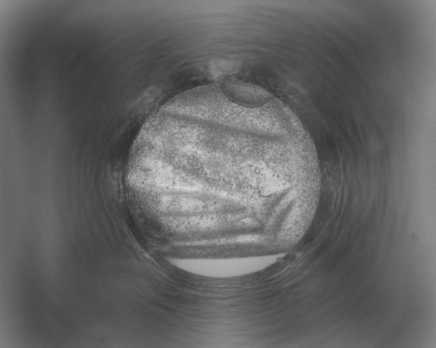 X0000054360527200508191823