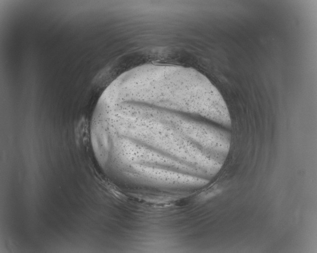 X0000054360528200508191823