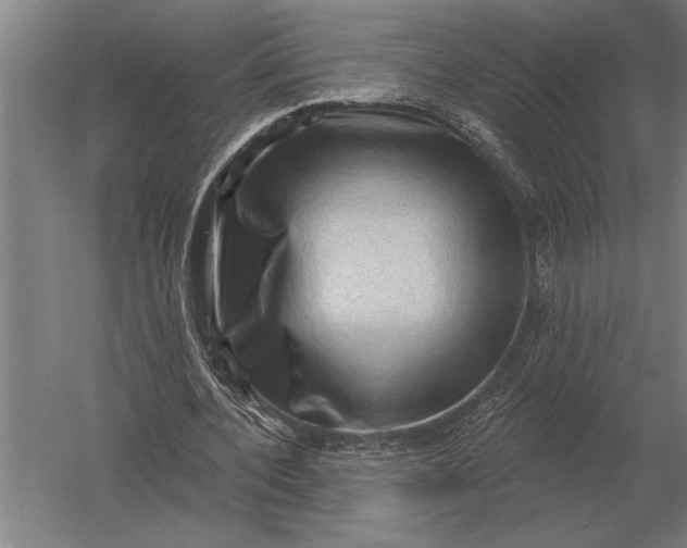 X0000054360532200508191822