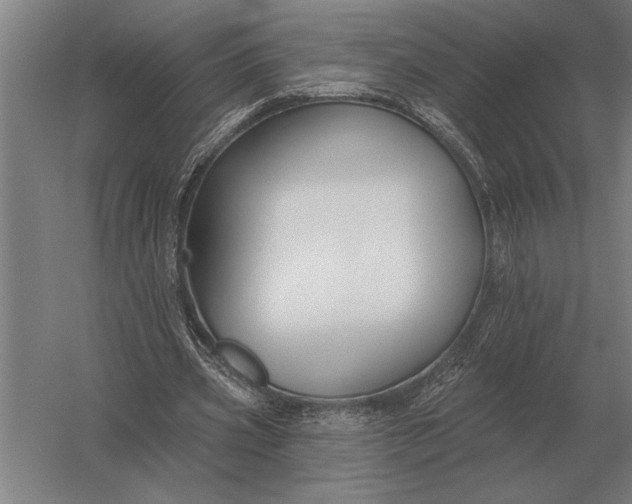 X0000054360533200508191822