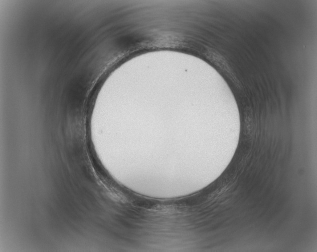 X0000054360534200508191822