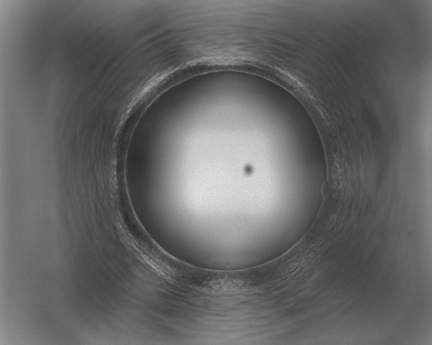 X0000054360535200508191822