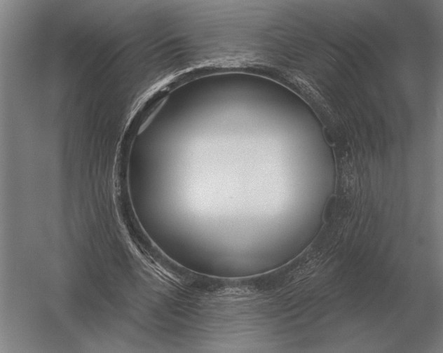 X0000054360536200508191822