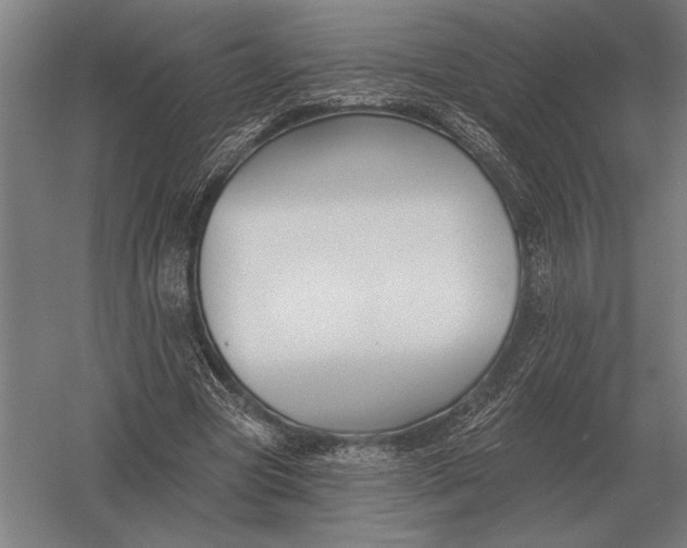 X0000054360537200508191822