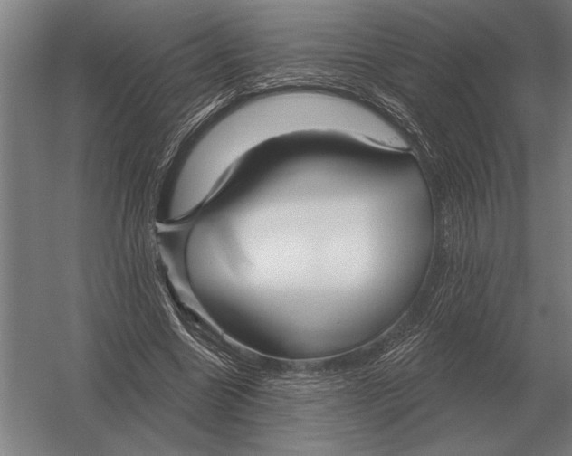 X0000054360538200508191822