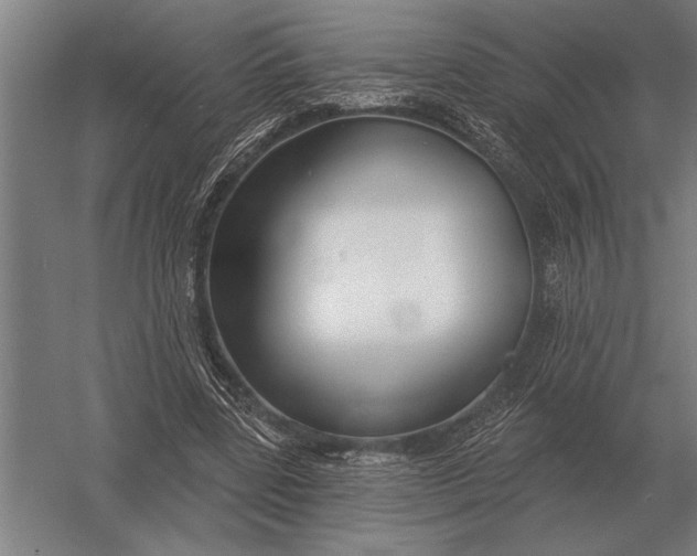X0000054360539200508191822