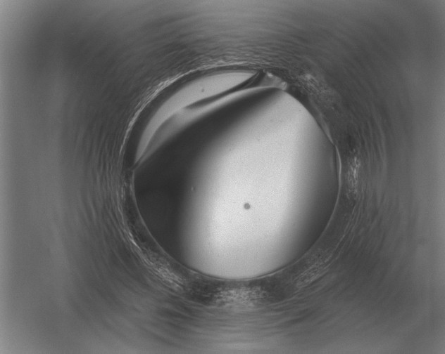 X0000054360540200508191822