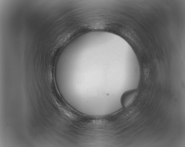 X0000054360541200508191822