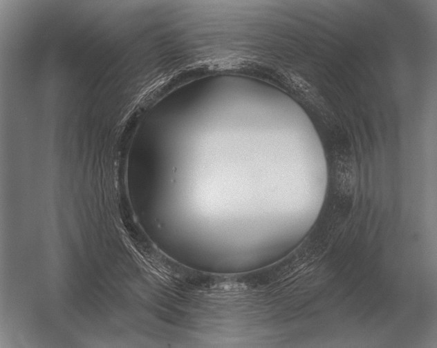 X0000054360543200508191822