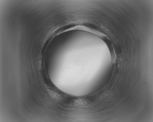X0000054360544200508191822