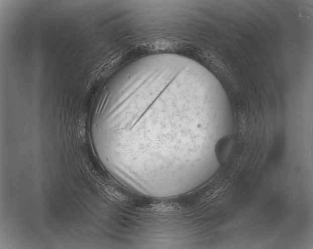 X0000054360545200508191822