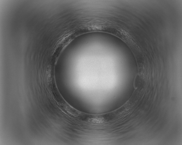 X0000054360548200508191822