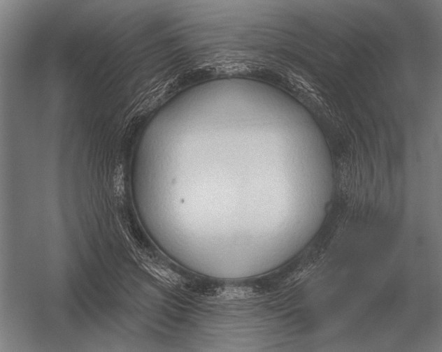 X0000054360549200508191822