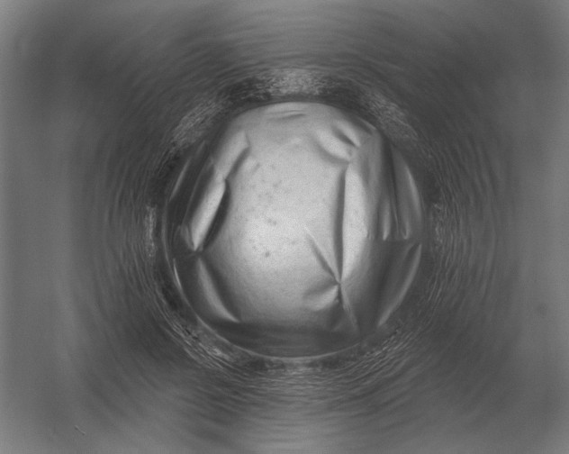 X0000054360550200508191822