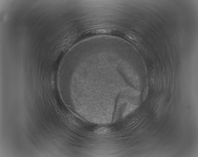X0000054360551200508191822
