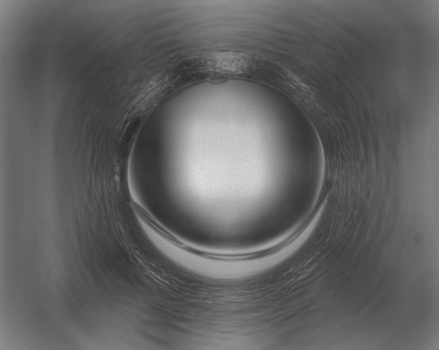 X0000054360552200508191822