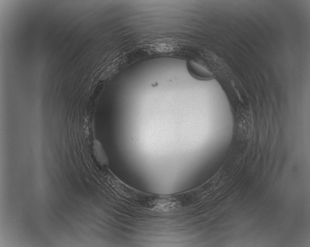 X0000054360555200508191822