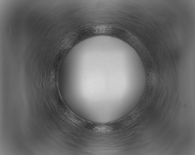 X0000054360557200508191822